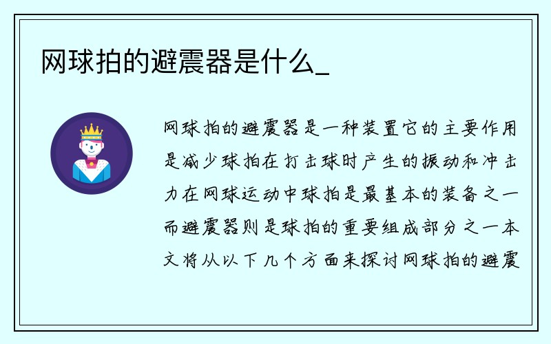 网球拍的避震器是什么_