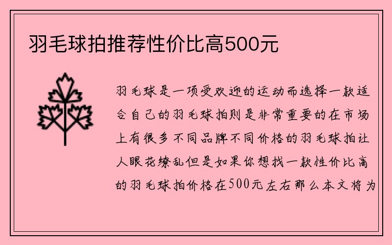 羽毛球拍推荐性价比高500元