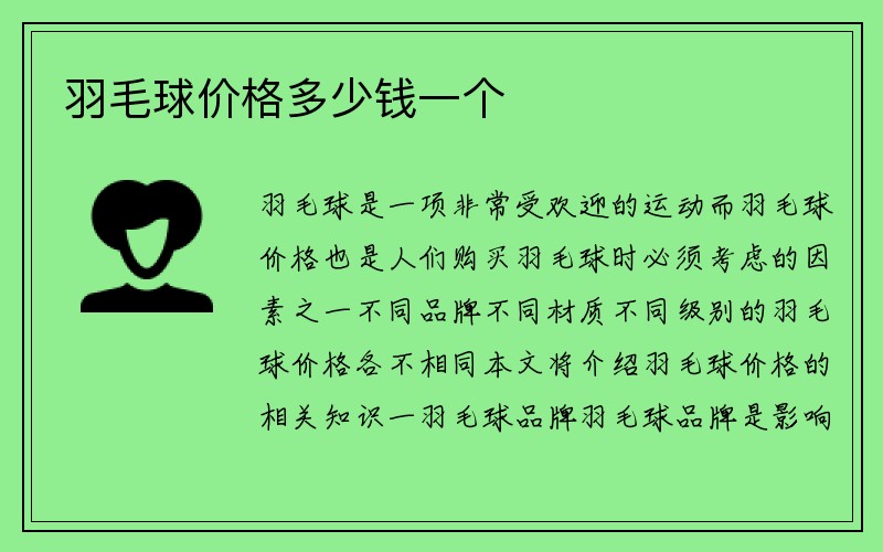 羽毛球价格多少钱一个