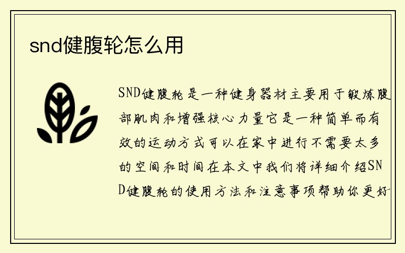 snd健腹轮怎么用