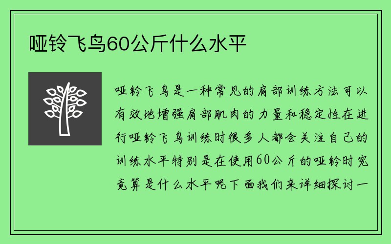 哑铃飞鸟60公斤什么水平